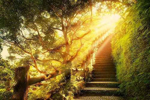 Divine Stairway